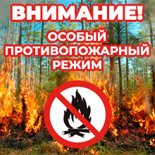 В Томской области установлен особый противопожарный режим