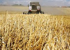 Минсельхоз России: в стране практически завершена уборка пшеницы и ячменя Минсельхоз России: в стране практически завершена уборка пшеницы и ячменя