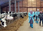 Томичи познакомились с жизнью чудо-фермы Томичи познакомились с жизнью чудо-фермы