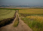 Правительство утвердило «дорожную карту» в АПК Правительство утвердило «дорожную карту» в АПК