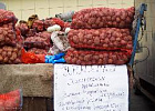 На «Празднике картошки» продано 90 тонн картофеля и 3,5 тонны овощей На «Празднике картошки» продано 90 тонн картофеля и 3,5 тонны овощей