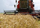 Минсельхоз России: кредитование сезонных полевых работ выросло на 22% Минсельхоз России: кредитование сезонных полевых работ выросло на 22%