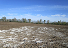 Специалисты агрохимслужбы оценят эффективность применения минеральных удобрений на томских полях