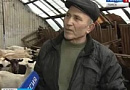 Как фермеру продать свою продукцию? 