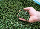 Экокорм – залог «чистого» отечественного продукта Экокорм – залог «чистого» отечественного продукта