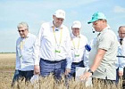 О достижениях Оренбуржья по твердой пшенице говорили на областном Дне поля О достижениях Оренбуржья по твердой пшенице говорили на областном Дне поля