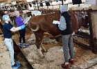 Специалист Аграрного центра принимает экзамены у студентов Томского аграрного колледжа