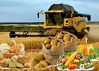 В Томской области вырос экспорт продукции АПК В Томской области вырос экспорт продукции АПК