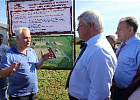 Сергей Жвачкин остался доволен темпами реализации инвестпроекта в «Березовской ферме»
