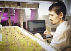 В Минсельхозе России утвердили проекты для участия в ФНТП В Минсельхозе России утвердили проекты для участия в ФНТП