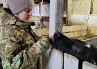 Рабочая группа экспертов АПК посетила хозяйства Каргасокского района