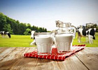 Продолжается эксперимент по маркировке молочной продукции Продолжается эксперимент по маркировке молочной продукции