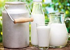 Начинающий фермер из Верхнекетского района вводит цех по переработке молока