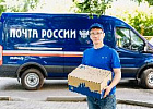 В Томской области почтовики обработали посылки с почти 2 500 саженцев В Томской области почтовики обработали посылки с почти 2 500 саженцев