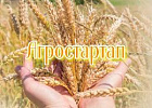 Объявлен дополнительный отбор заявок на гранты «Агростартап» и «Семейная ферма» Объявлен дополнительный отбор заявок на гранты «Агростартап» и «Семейная ферма»