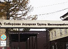 Представитель Минпромторга РФ высоко оценил систему проектного управления Сибирской Аграрной Группы