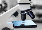 Минсельхоз утвердил новые правила ветеринарно-санитарной экспертизы молока Минсельхоз утвердил новые правила ветеринарно-санитарной экспертизы молока