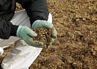 Свердловская область: предприятия АПК регистрируют помет как продукцию Свердловская область: предприятия АПК регистрируют помет как продукцию
