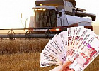 Семейным фермам возместят часть затрат Семейным фермам возместят часть затрат