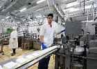 За год компания «Деревенское молочко» произвела более 100 тонн сыра