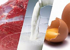 В августе производство продукции АПК сократилось на 10,8% за счет растениеводства В августе производство продукции АПК сократилось на 10,8% за счет растениеводства