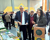 IMG_0874_site.jpg