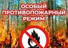 В Томской области установлен особый противопожарный режим