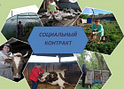 В Томской области увеличился максимальный размер выплат по соцконтракту В Томской области увеличился максимальный размер выплат по соцконтракту