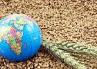 Экспорт российской продукции АПК в 2019 г. достиг $25 млрд Экспорт российской продукции АПК в 2019 г. достиг $25 млрд