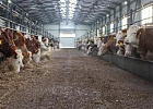 Господдержка АПК в Томской области составила 2 миллиарда рублей Господдержка АПК в Томской области составила 2 миллиарда рублей