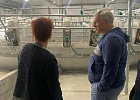 Как в Асине меняется жизнь к лучшему: новые объекты, новые возможности Как в Асине меняется жизнь к лучшему: новые объекты, новые возможности