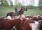 КФХ «Летяжье» отмечает 25-летие КФХ «Летяжье» отмечает 25-летие