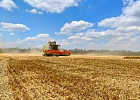Научная площадка для студентов аграрных вузов появилась в Подмосковье Научная площадка для студентов аграрных вузов появилась в Подмосковье